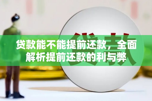 云浮贷款能不能提前还款，全面解析提前还款的利与弊