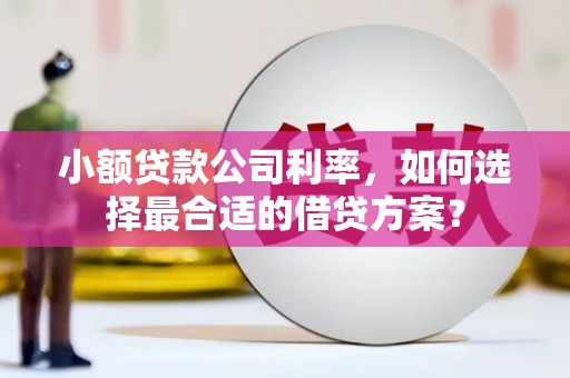 云浮小额贷款公司利率，如何选择最合适的借贷方案？