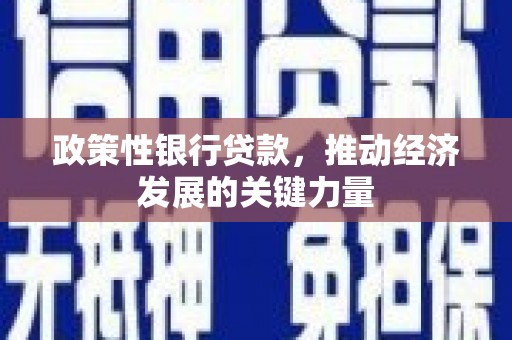 云浮政策性银行贷款，推动经济发展的关键力量
