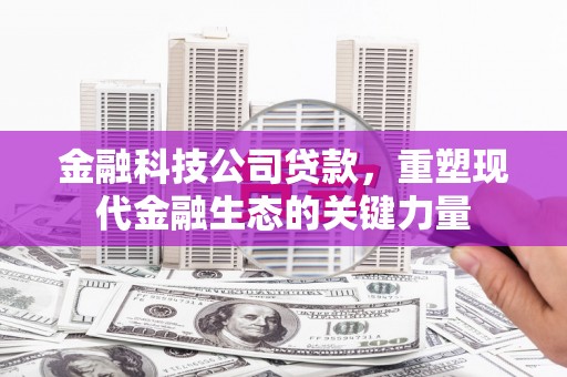 云浮金融科技公司贷款，重塑现代金融生态的关键力量