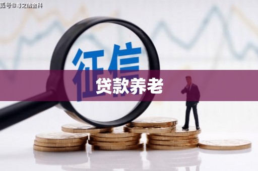 云浮贷款养老
