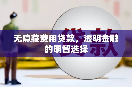 云浮无隐藏费用贷款，透明金融的明智选择