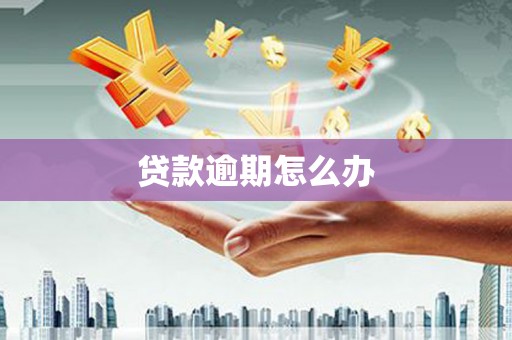 云浮贷款逾期怎么办