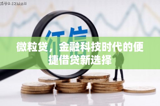 云浮微粒贷，金融科技时代的便捷借贷新选择