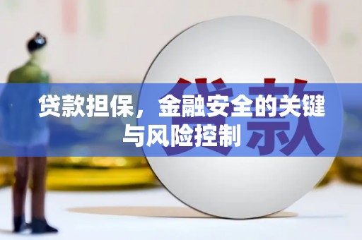 云浮贷款担保，金融安全的关键与风险控制