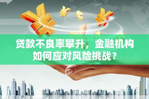 云浮贷款不良率攀升，金融机构如何应对风险挑战？