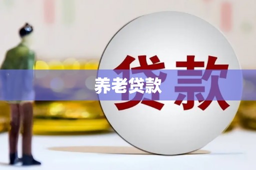 云浮养老贷款