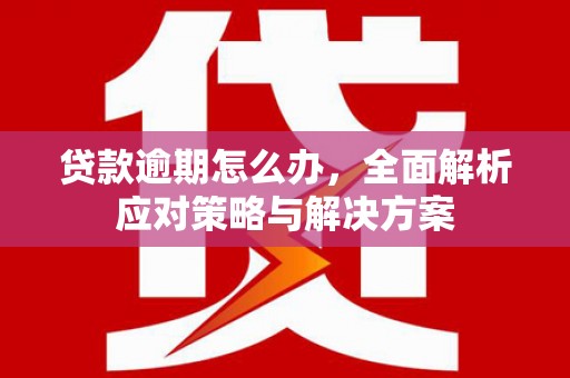 云浮贷款逾期怎么办，全面解析应对策略与解决方案