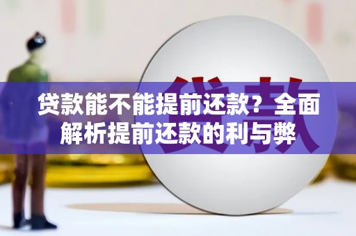 云浮贷款能不能提前还款？全面解析提前还款的利与弊