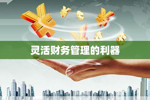 云浮灵活财务管理的利器
