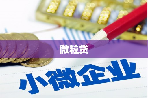 云浮微粒贷