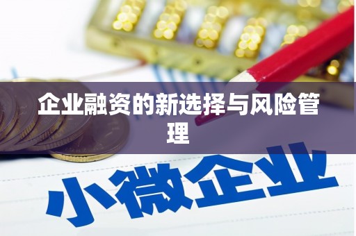 云浮企业融资的新选择与风险管理