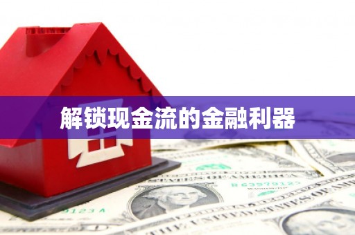 云浮解锁现金流的金融利器