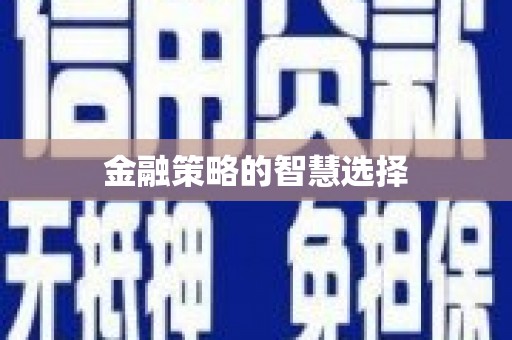 云浮金融策略的智慧选择