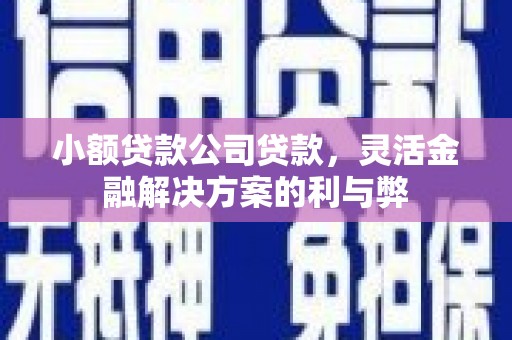 云浮小额贷款公司贷款，灵活金融解决方案的利与弊
