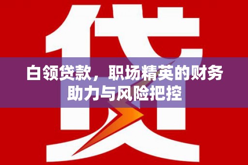 云浮白领贷款，职场精英的财务助力与风险把控